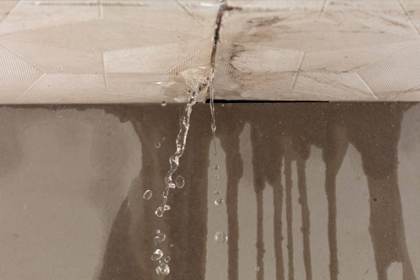 Professional Flood Damage Cleanup technician working in Cascade, WI